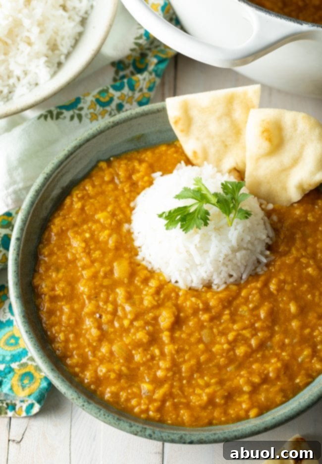 Perfect Mung Dal Recipe 8 A bowl of Moong Dal served with a side of white rice and pita bread, garnished with fresh herbs