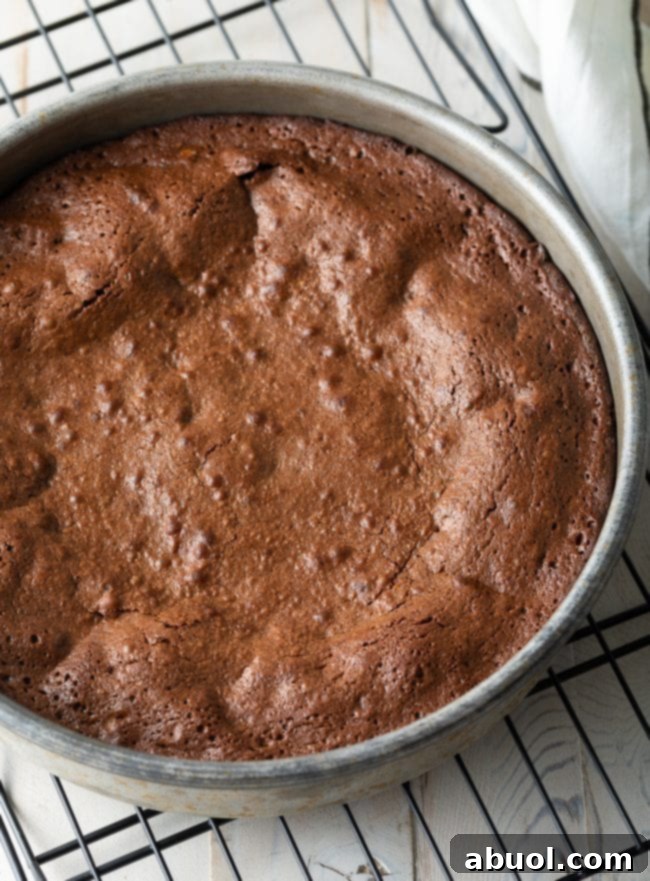baked chocolate brownie cake in pan