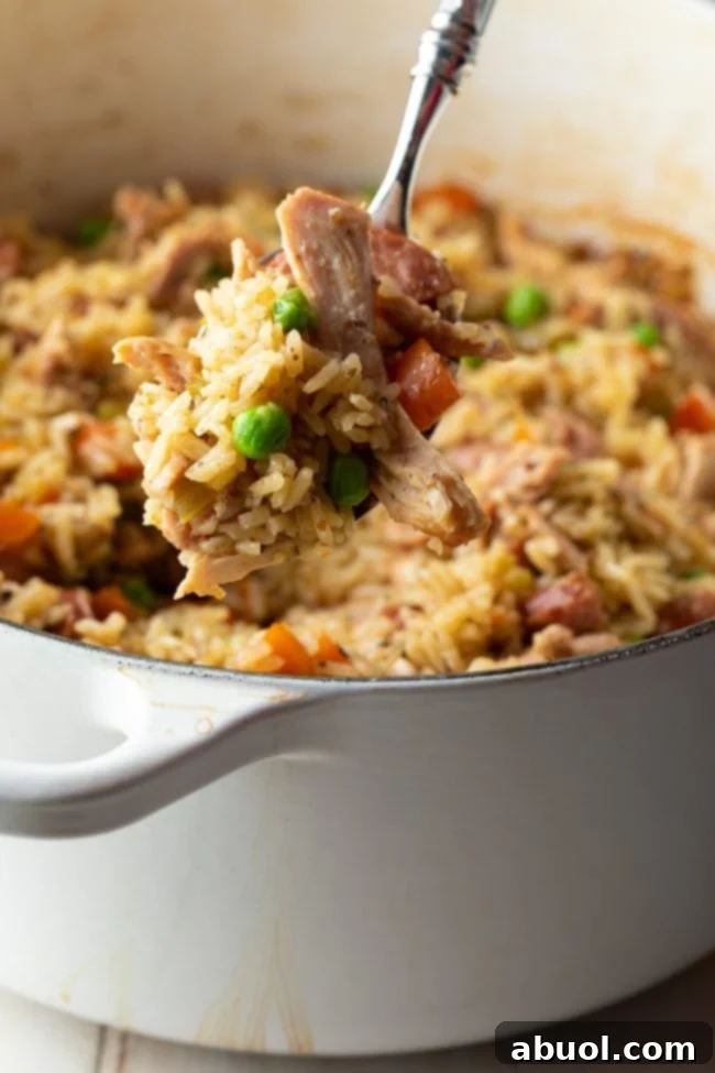Southern Comfort Chicken Bog 10 Close-up of a generous spoonful of Chicken Bog, highlighting the tender chicken, fluffy rice, and savory sausage, ready to be enjoyed.