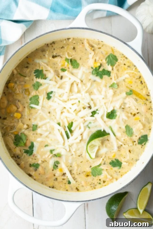 stovetop white chicken chili in large pot - overhead shot