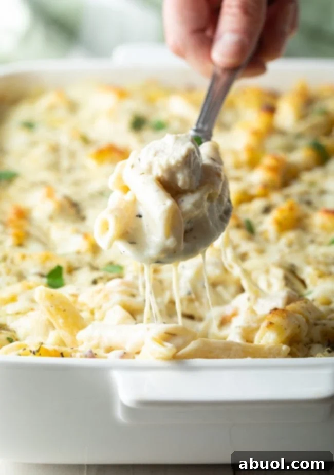 Hand holding spoonful of cheesy chicken alfredo pasta bake to camera, showcasing creamy sauce and golden cheese.