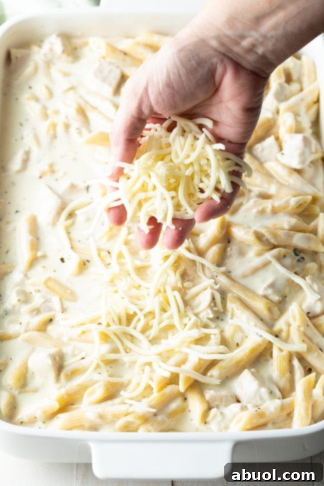 Hand sprinkling shredded mozzarella cheese evenly over the top of the chicken Alfredo pasta casserole before baking.