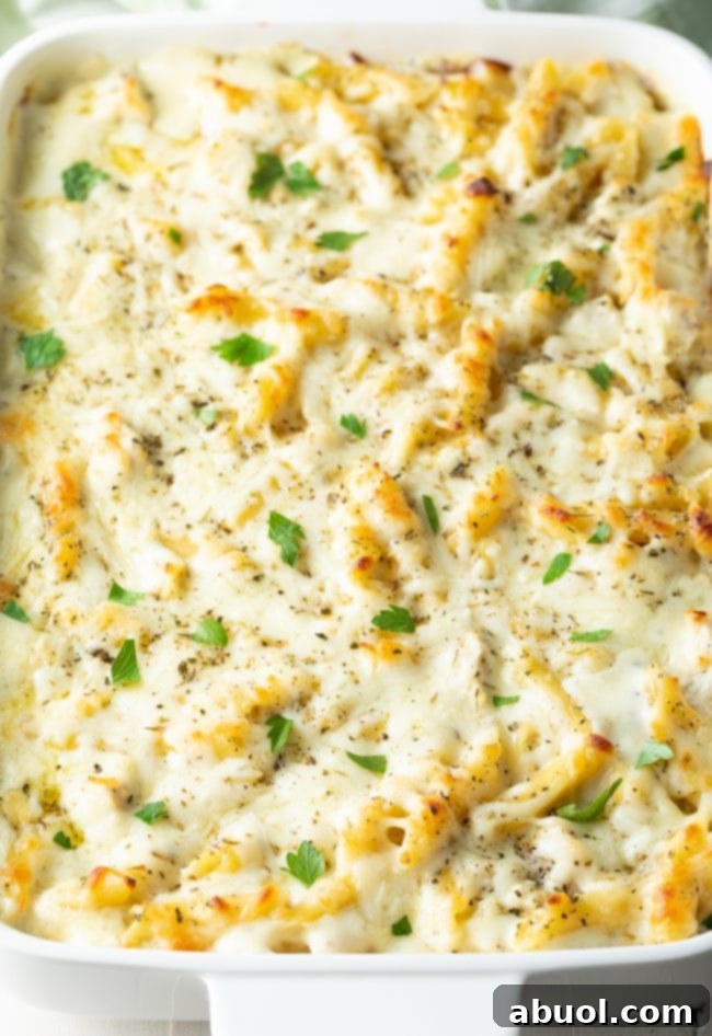 A beautifully golden-brown, bubbly Cheesy Chicken Alfredo Pasta Bake fresh out of the oven, ready to be served.