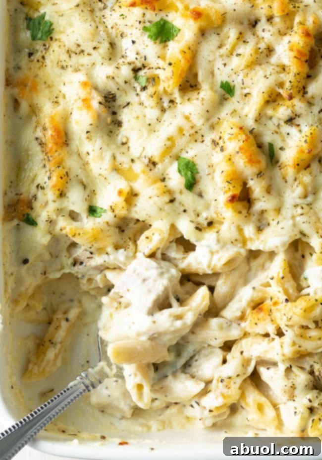 Top down view of baked chicken and cheese Alfredo pasta, with a metal spoon scooping away a serving from the dish.