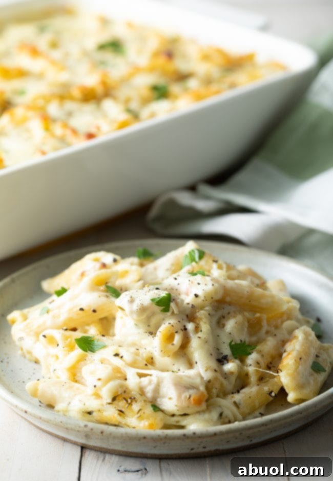 A serving of Cheesy Chicken Alfredo Bake on a white plate, highlighting the creamy sauce and golden cheese.