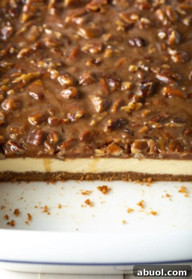 A side view of pecan cheesecake bars, clearly showing the distinct layers of crust, cheesecake, and caramel pecan topping.