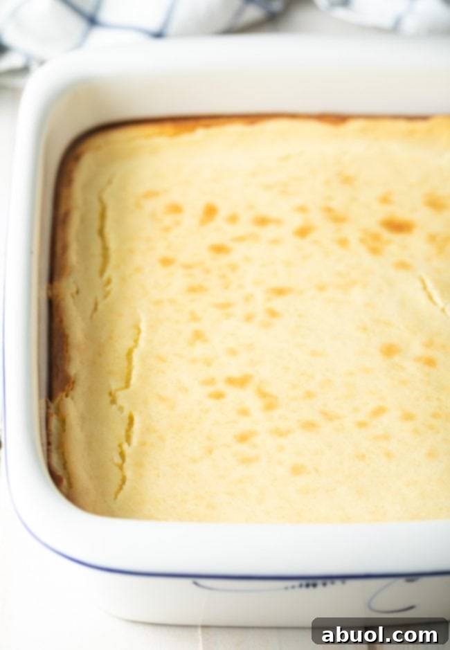 The smooth cheesecake layer set in a square baking dish, ready for the pecan topping.