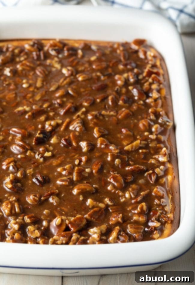 A pecan pie cheesecake recipe baked in a rectangular baking dish, showcasing its golden-brown top and ready for chilling.