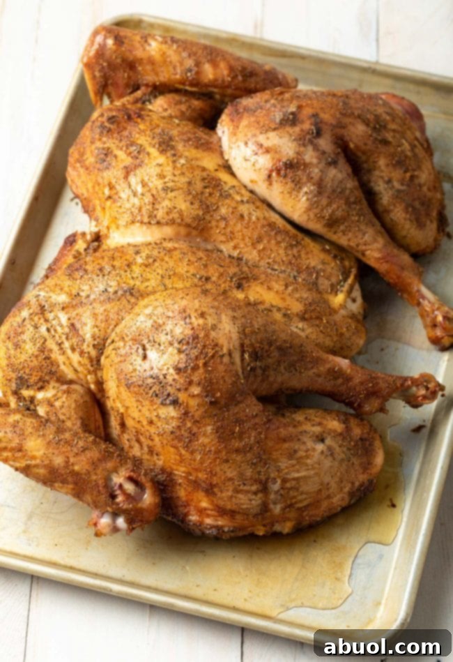 A whole roasted spatchcock turkey, beautifully golden and seasoned, served on a platter, ready for carving and a holiday feast.