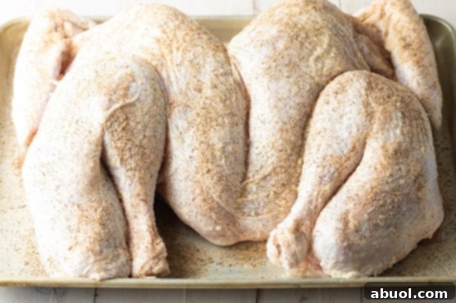 A seasoned raw spatchcock turkey laid flat on a baking sheet, ready for roasting or smoking.