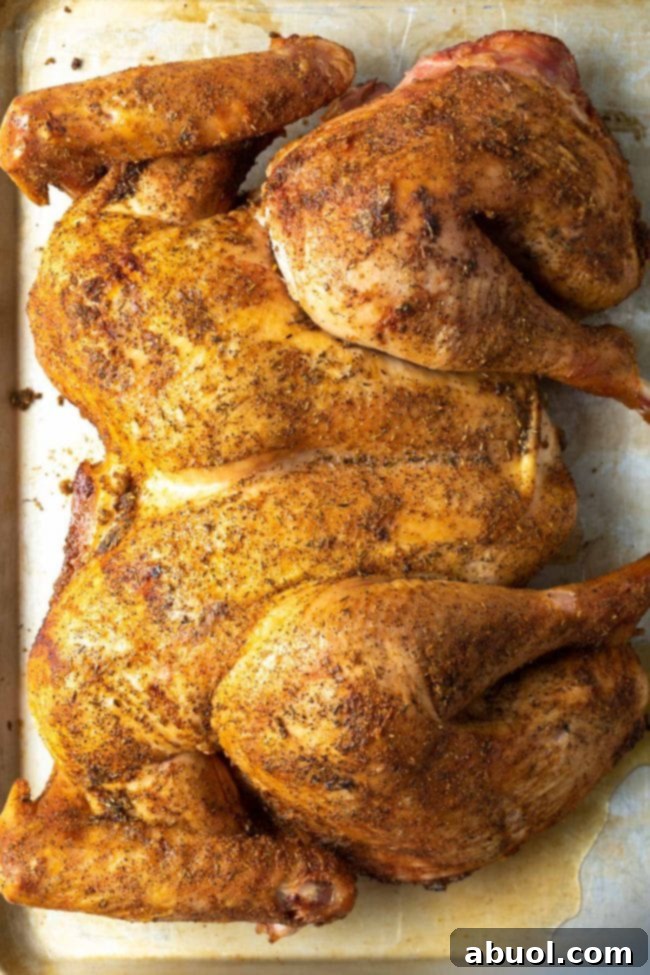 A perfectly smoked spatchcock turkey with unbelievably crispy golden skin, resting on a pan after cooking.