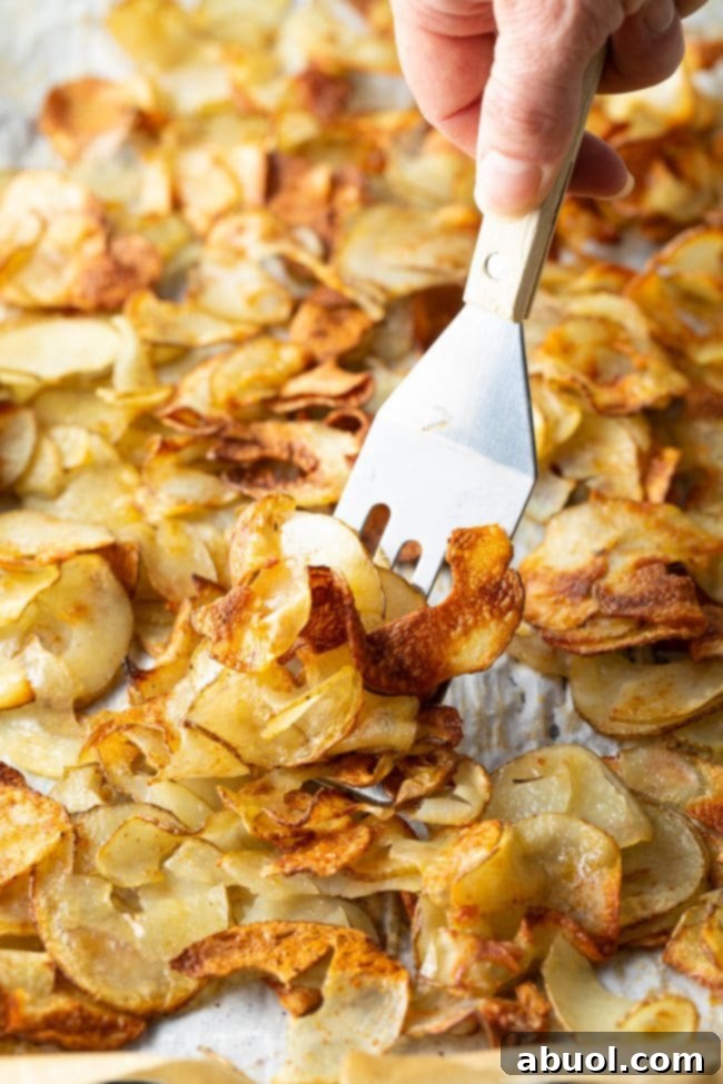 Oven-Baked Crispy Potato Ribbons 8 Using a small metal spatula to scoop up a serving of crunchy thin potato pieces, freshly roasted.