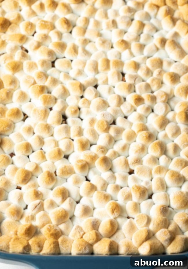 baked casserole with marshmallows on top