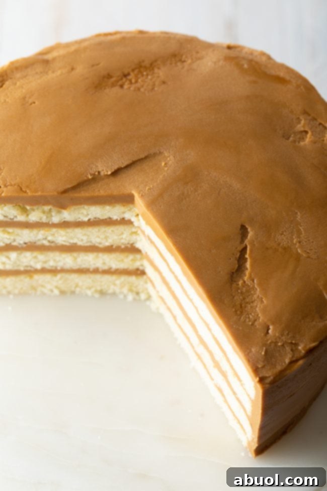 the best caramel cake with perfect layers - view from top