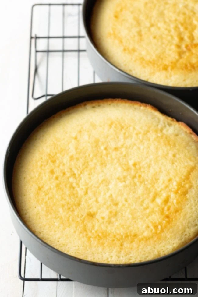 cakes cooling on a wire rack ofter baking in the oven