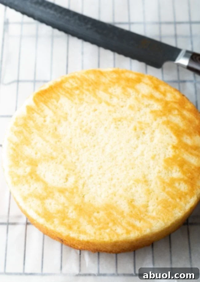 serrated knife used to level and cut this cake into the layers 