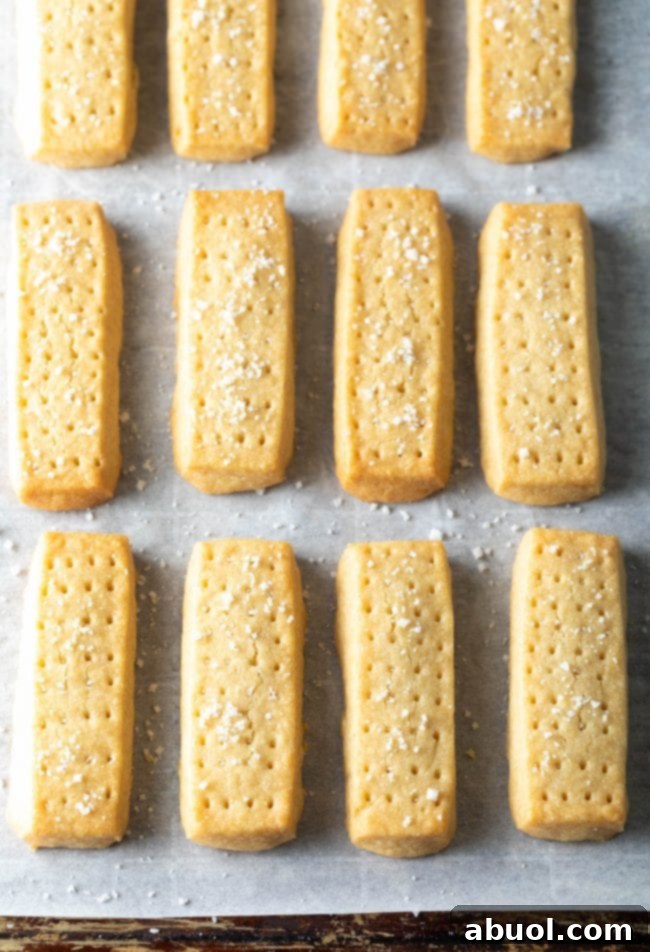Overhead shot of perfectly rectangular Scottish shortbread cookies, lightly dusted with sea salt.