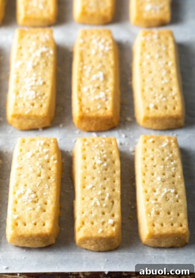 Freshly baked Scottish shortbread cookies resting on a baking sheet lined with parchment paper, golden and inviting.