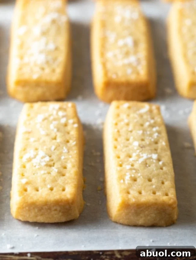 A close-up view of two perfectly baked Scottish shortbread cookies on a parchment-lined baking sheet, showcasing their delicate texture.