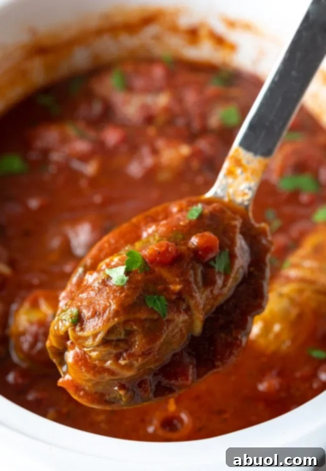 Slow Cooker Cabbage Rolls - crockpot cabbage rolls from scratch scooped up on spoon