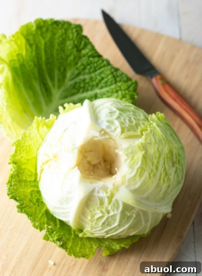 trimmed head of cabbage