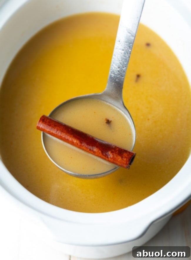 A ladle scooping hot buttered rum from a crock pot, garnished with a visible cinnamon stick, ready to be served into a mug.
