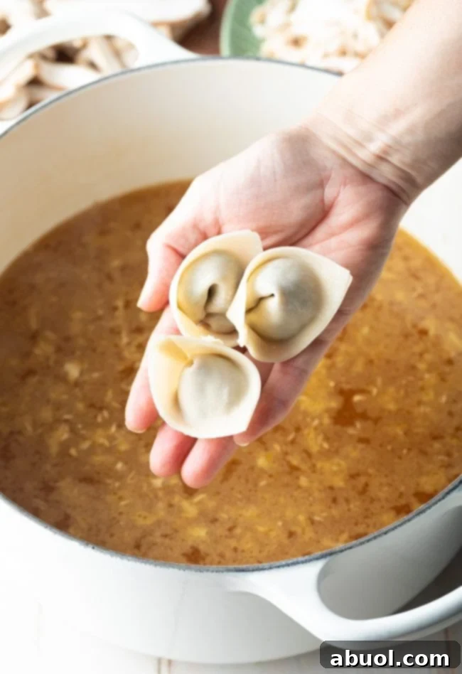 House Special Wonton Soup 12 egg drop wonton chicken soup - adding wontons to soup base