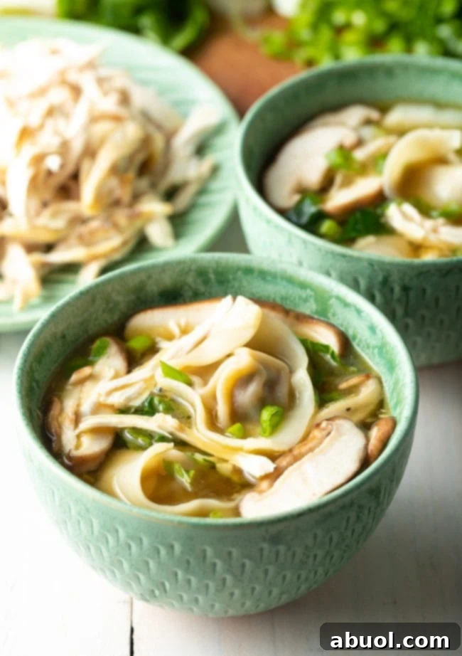 House Special Wonton Soup 15 hot wor wonton soup recipe in bowls close up