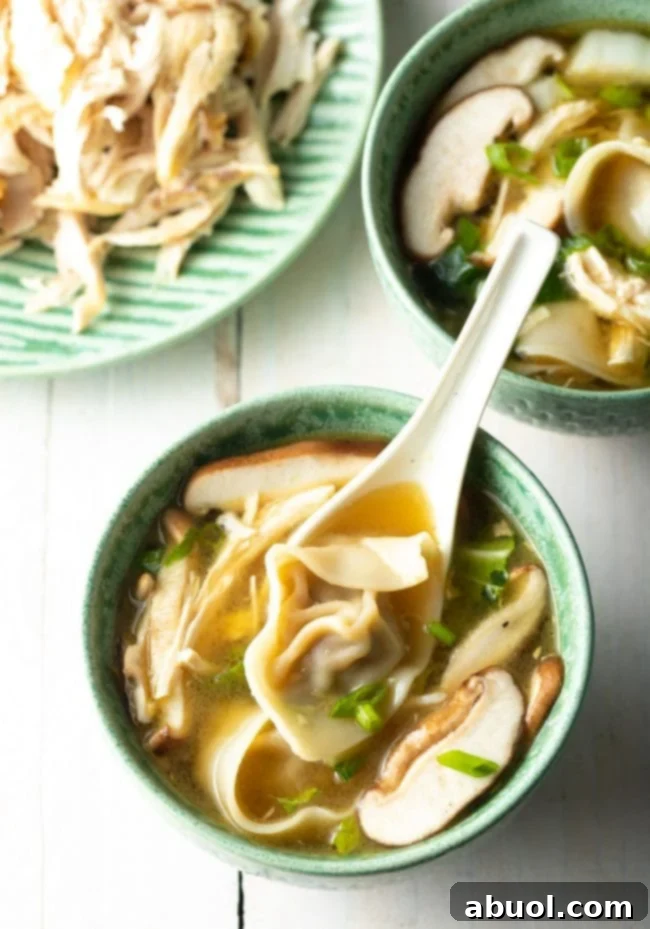 House Special Wonton Soup 16 wor wonton chicken soup from scratch - overhead shot