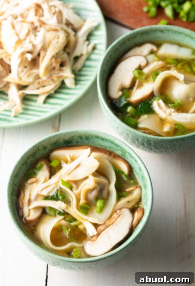 House Special Wonton Soup 3 wor wonton soup recipe with chicken, mushrooms, scallions, and herbs
