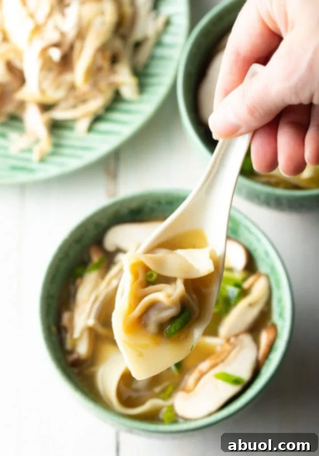 House Special Wonton Soup 4 chicken wonton soup with wonton lifted out of bowl