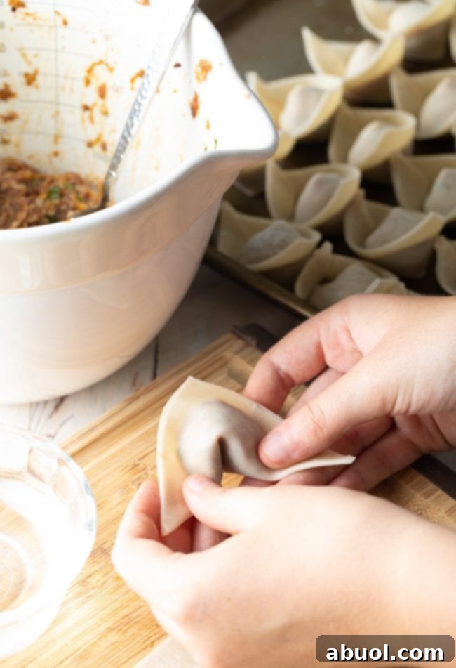 House Special Wonton Soup 8 folding wontons for soup