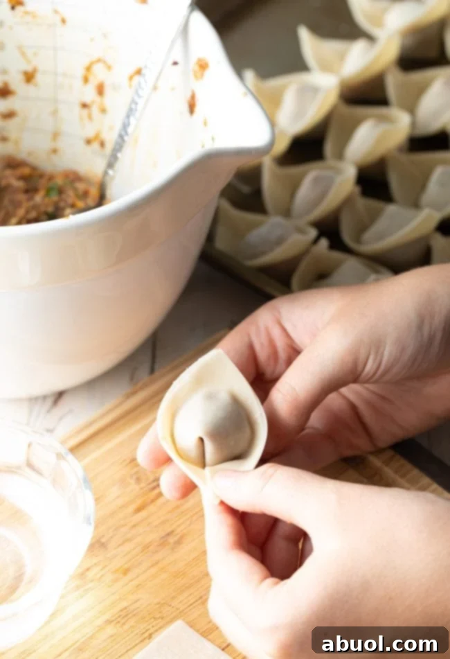 House Special Wonton Soup 9 folding wontons for wor soup