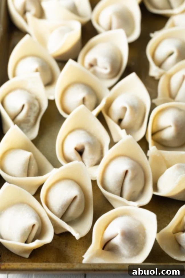 House Special Wonton Soup 10 homemade wontons for wonton noodle soup