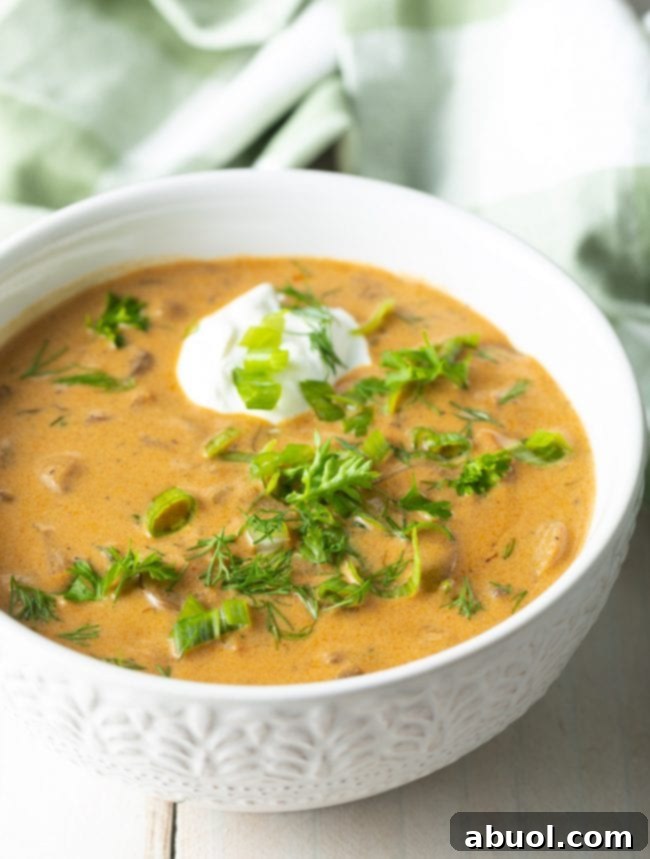 hungarian mushroom soup recipe close up in bowl