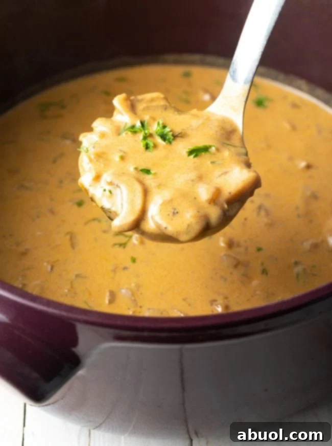 creamy vegan mushroom soup ladled from pot