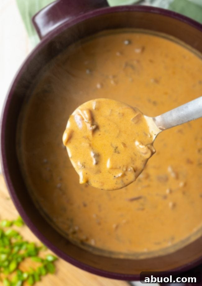 gluten free cream of mushroom soup in ladle