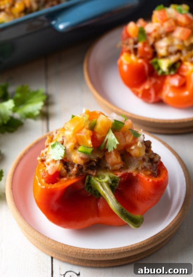 Hearty Keto Stuffed Peppers 4 Close-up of a gluten-free keto stuffed pepper topped with fresh pico de gallo, ready to eat.