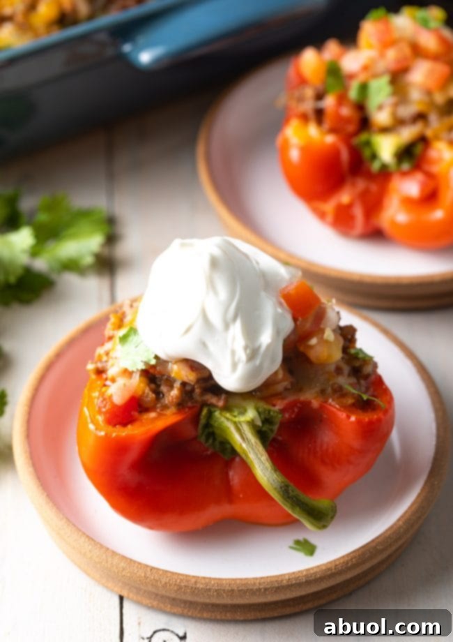 Hearty Keto Stuffed Peppers 10 A beautifully plated stuffed bell pepper topped with a dollop of sour cream and fresh herbs.