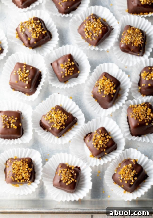 Decadent Chocolate Petit Fours 4 Petit Fours Recipe - party mini cakes with sprinkles lined up and in small cupcake wrappers.