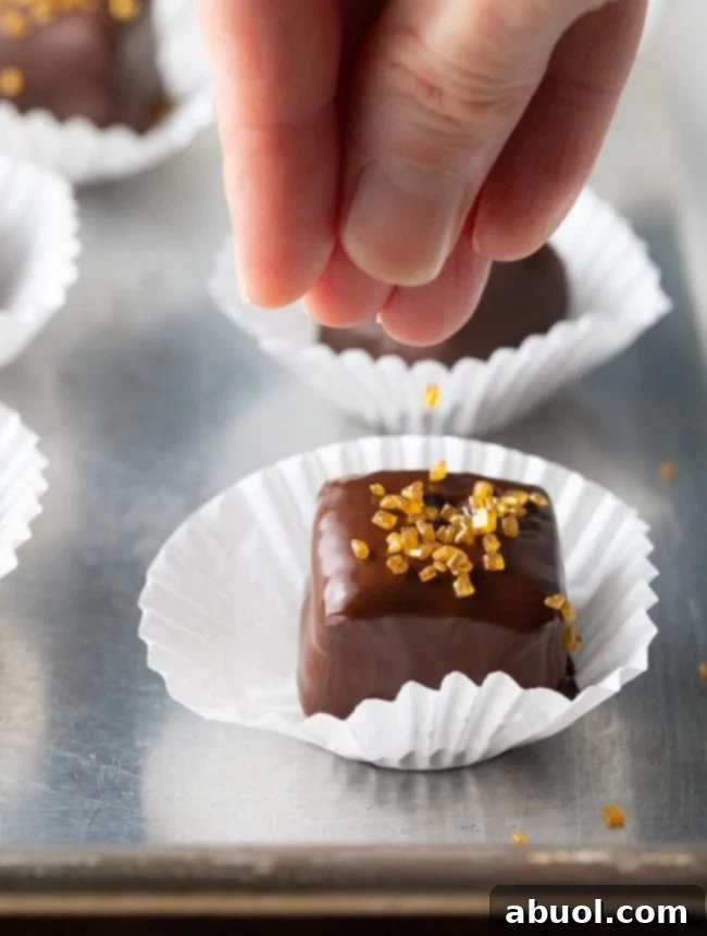 Decadent Chocolate Petit Fours 10 img 99073 9