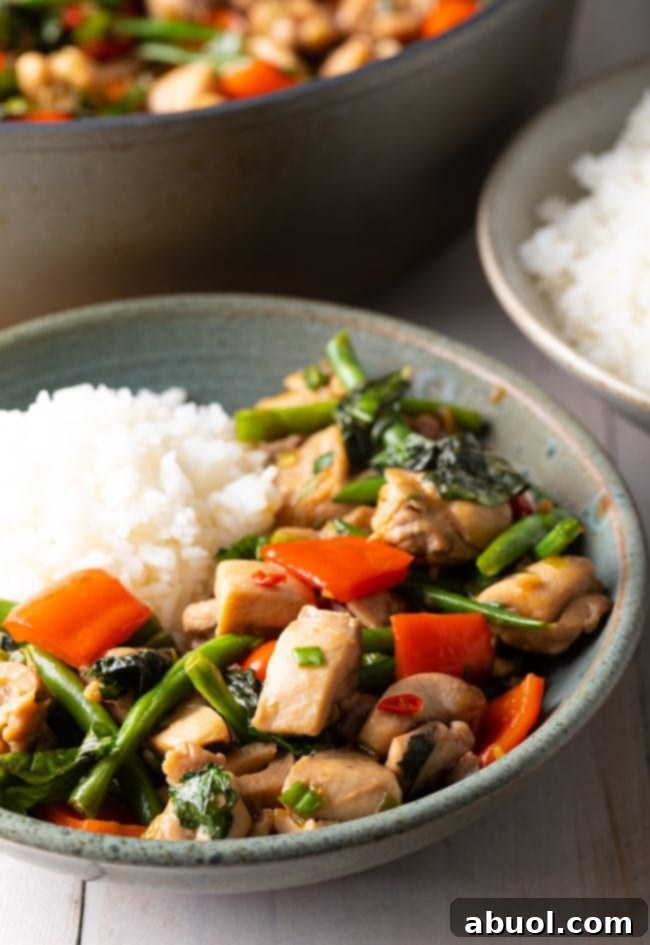 A bowl of vibrant spicy Thai basil chicken (Pad Krapow Gai) served with jasmine rice, garnished with fresh chiles and aromatic basil leaves, ready to be enjoyed.