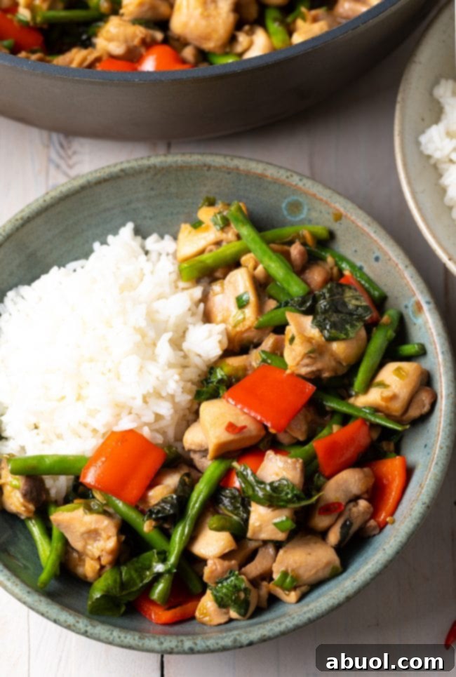 A large blue bowl filled with spicy Thai basil chicken (Pad Krapow Gai) and rice, showcasing the rich colors and textures of the dish.