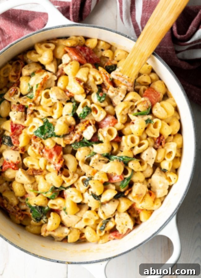 Overhead view of pot of creamy macaroni noodles with chicken, sun dried tomatoes, and spinach.