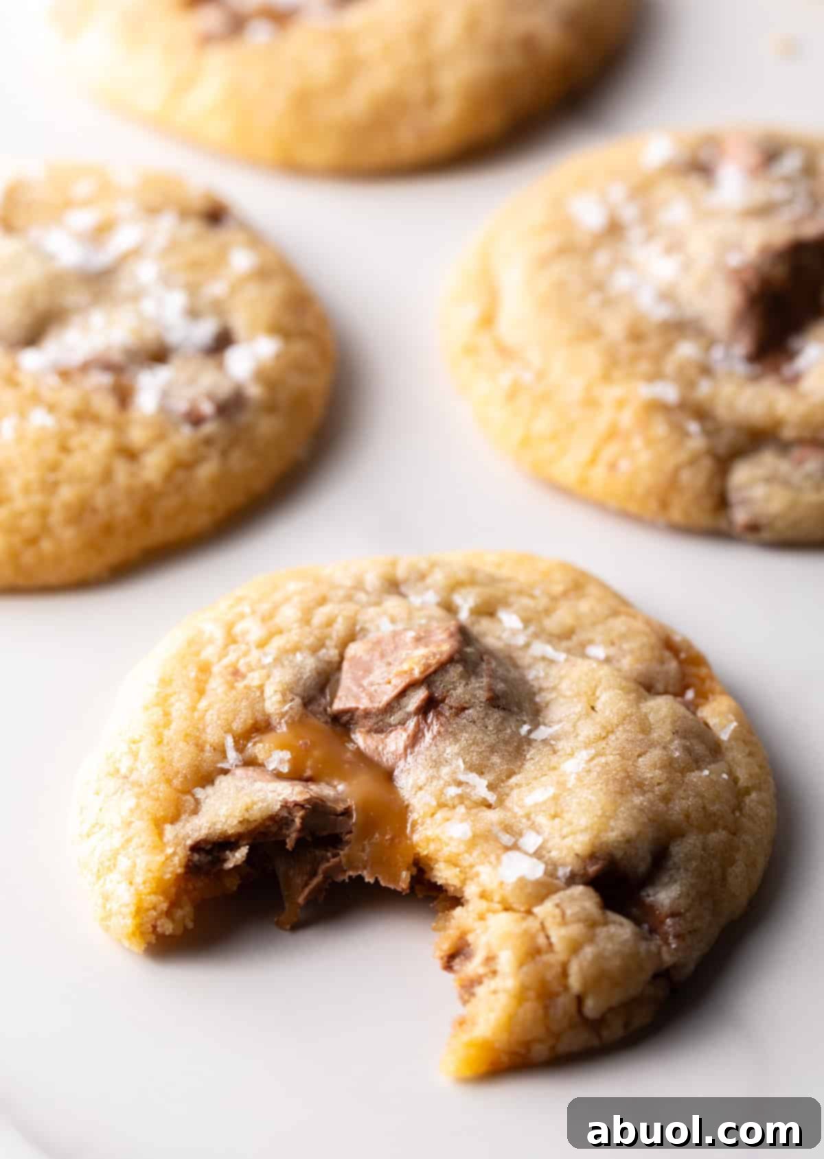 A tempting Milky Way cookie with a bite taken, showcasing its soft, chewy interior.