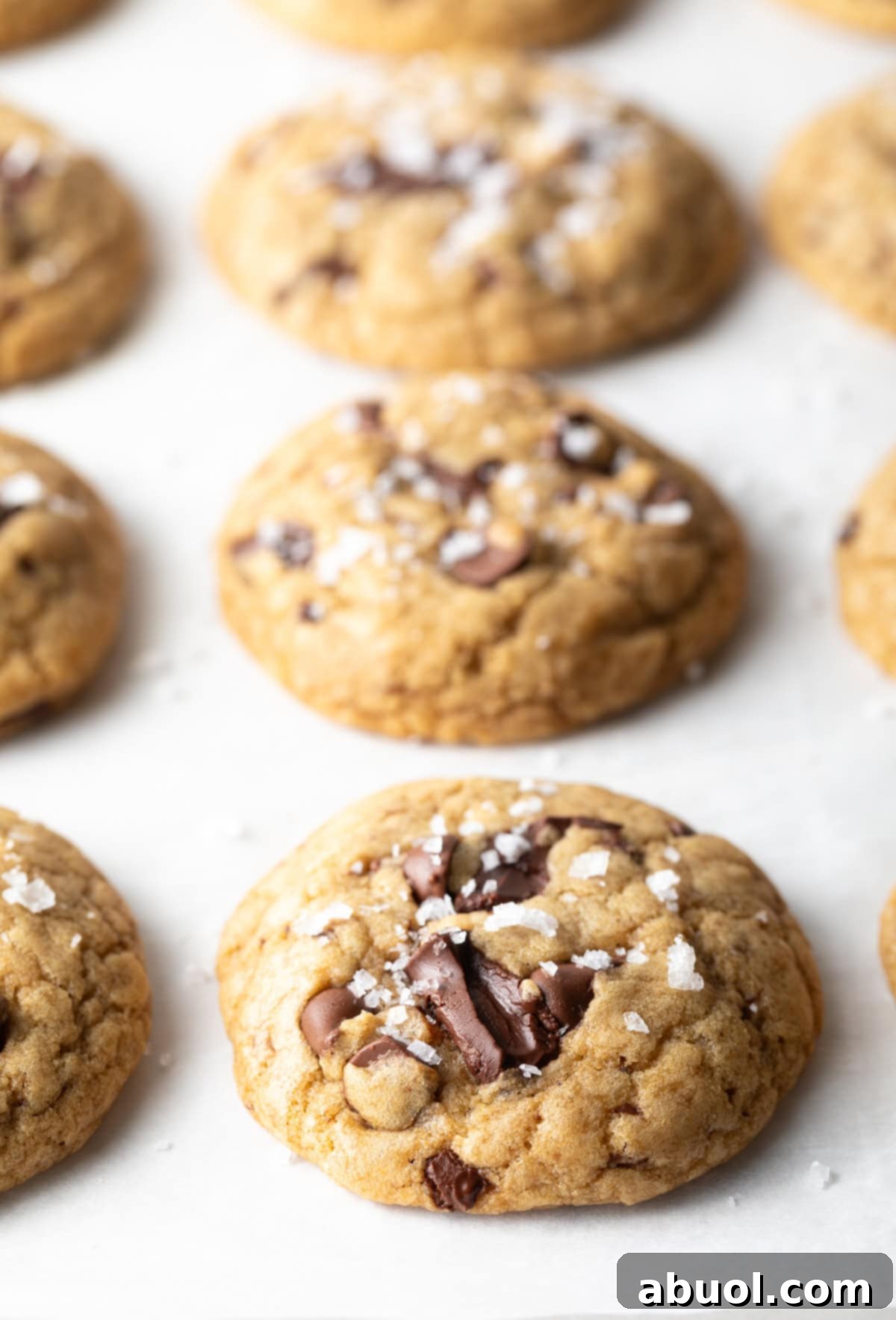 Close-up view of a brown sugar chocolate chip cookie topped with flakes of sea salt.