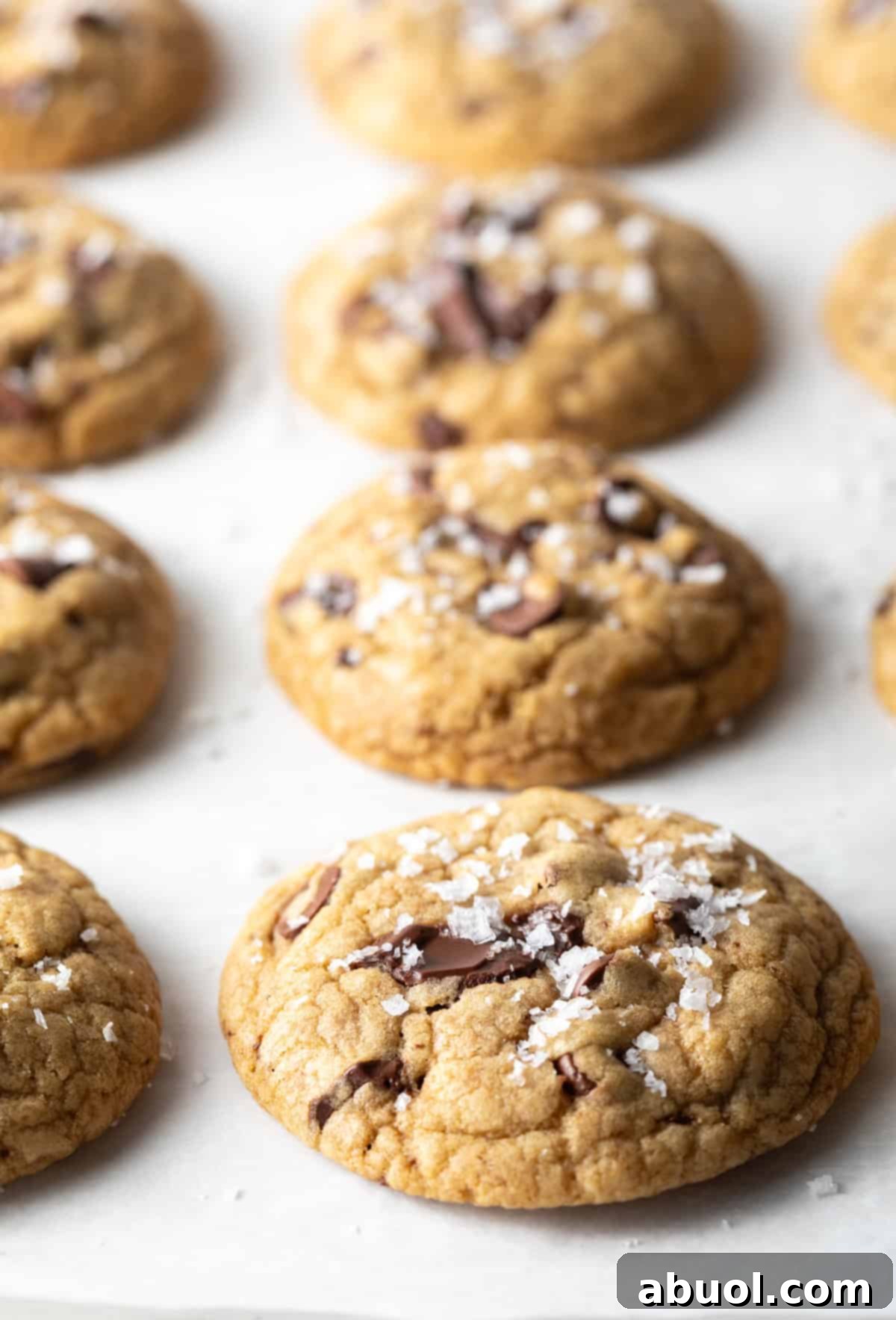 Eight freshly baked brown sugar chocolate chip cookies on a baking sheet.