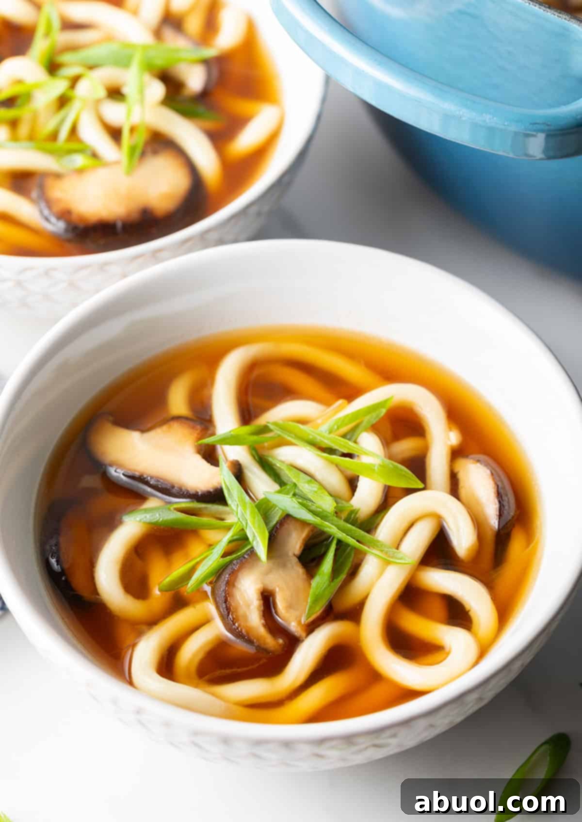 A white bowl filled with easy udon soup.