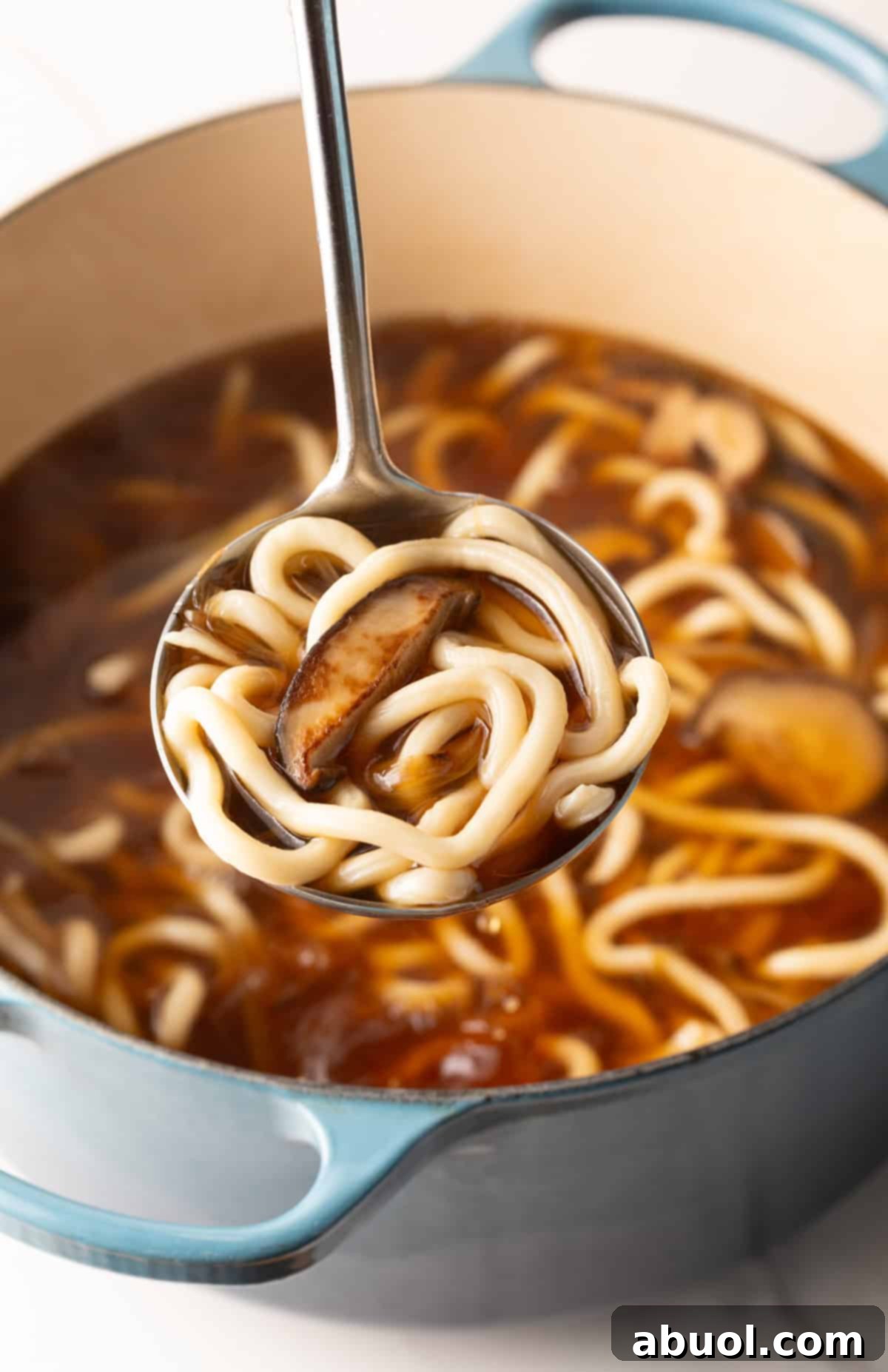 Pot of udon noodle soup with a ladle holding a scoop of the soup.