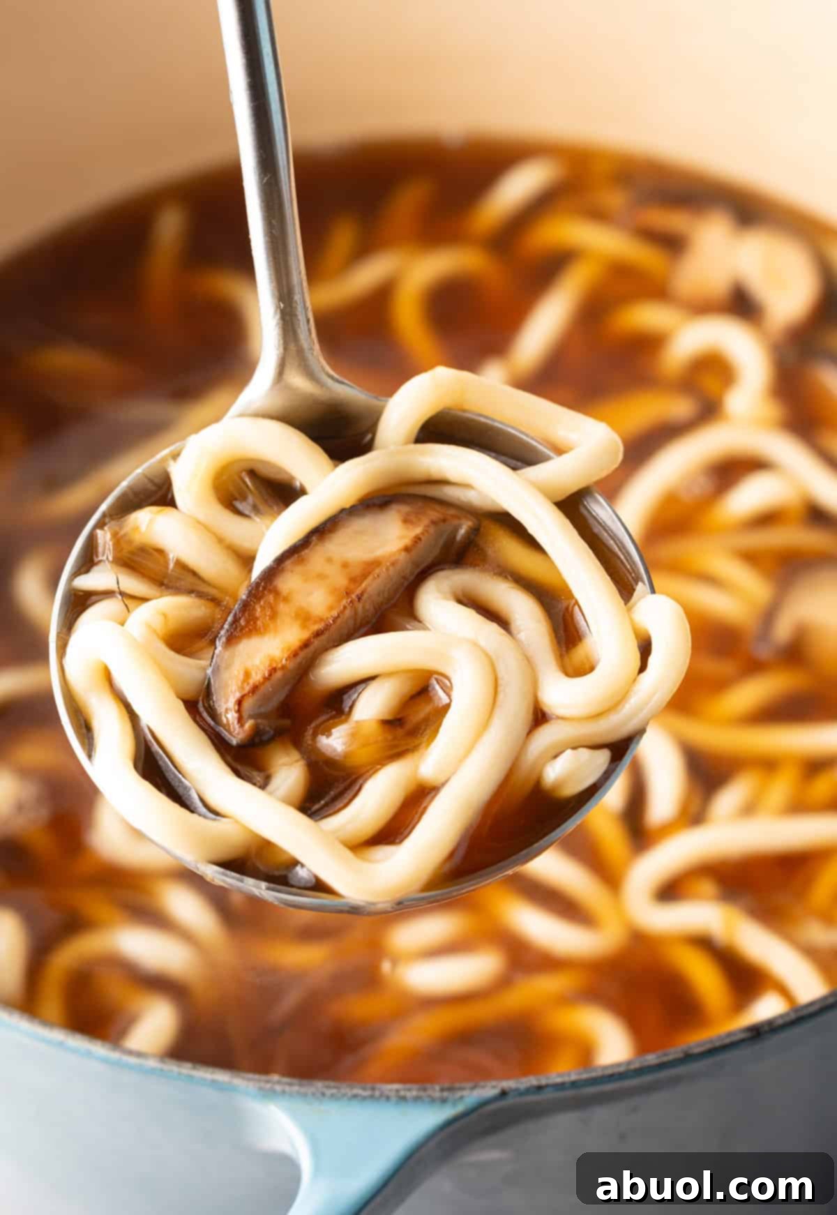 A close-up shot of a scoop of finished udon soup recipe.